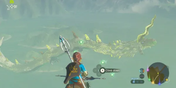   BotW ファロッシュ