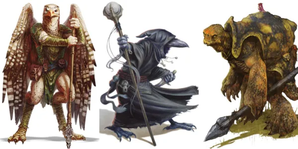   Dungeons-Dragons-Aarakocra-Kenku-Tortle-1