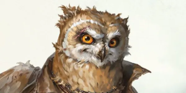   D&D オウリン ストリクスヘブン