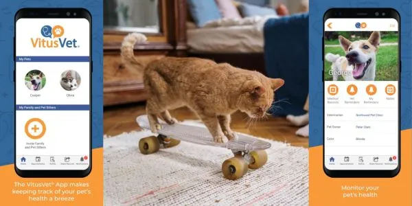 半透明のスケートボードの上に立っているオレンジ色の猫の写真。画像の両側にはスマートフォンが表示され、VitusPet アプリを宣伝しています。