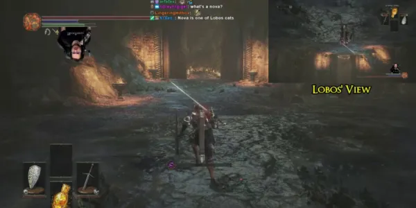   LobosJr が Dark Souls III Upside Down をプレイ