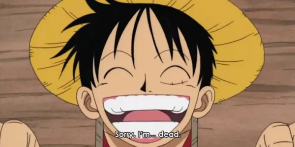   'ごめんなさい私'm dead" -Luffy.