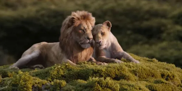   『ライオン・キング』でナラとシンバが頭を擦り合わせる