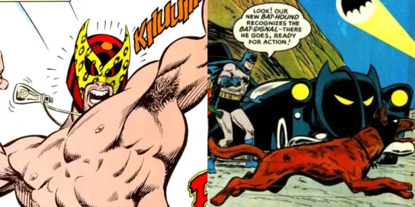   Bを示す分割画像'wana and Bat-Hound in DC comics 