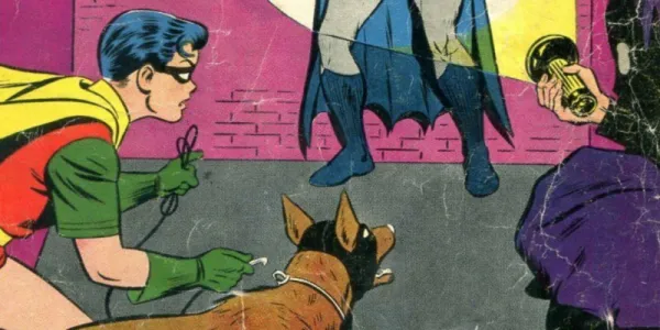   ロビンとエース・ザ・バットハウンドがDCコミックでバットマンを見つける