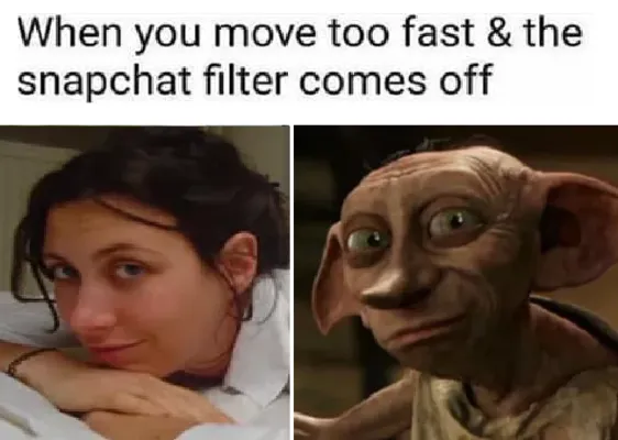   テキスト付きのドビーの画像の隣に女性の画像を表示するミーム"When you move to fast & the snapchat filter comes off."