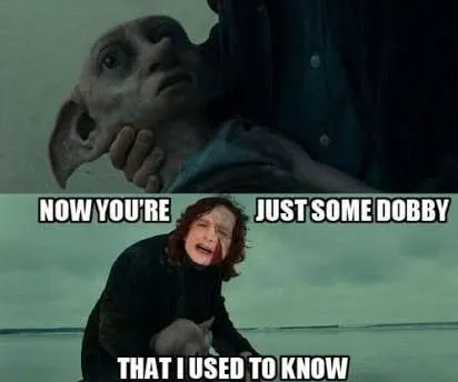   ハリー・ポッターで歌手のゴイテと一緒に死ぬドビーのミーム's face edited of Harry's and the text "Now you're just some Dobby that I used to know."