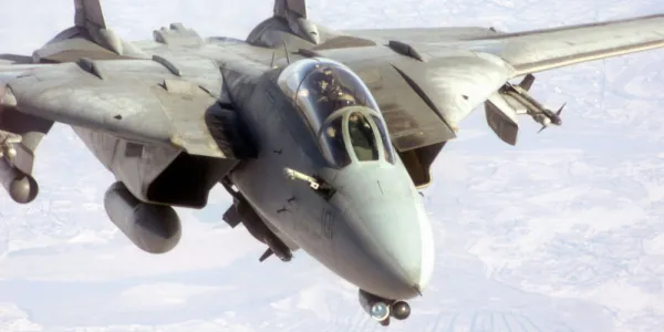   グラマン F-14 トムキャット ヘッド オン フライング 写真
