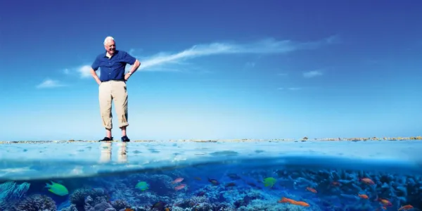   デビッド・アッテンボロー's Great Barrier Reef