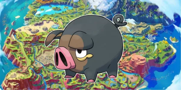   レチョンクポケモン