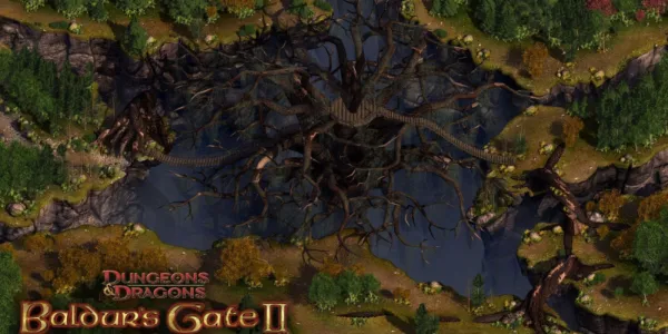   Baldur のオーバーヘッド マップ's Gate II