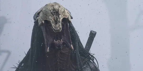   獲物の捕食者の顔