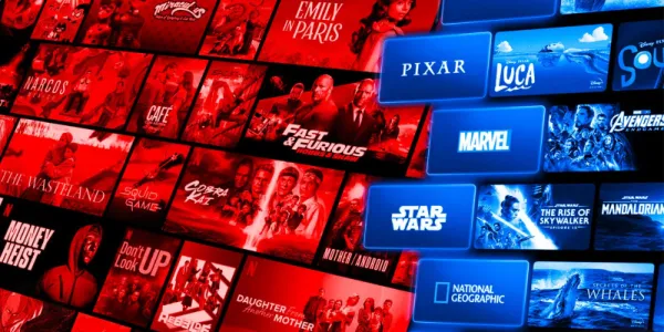  ディズニーとNetflixの加入者